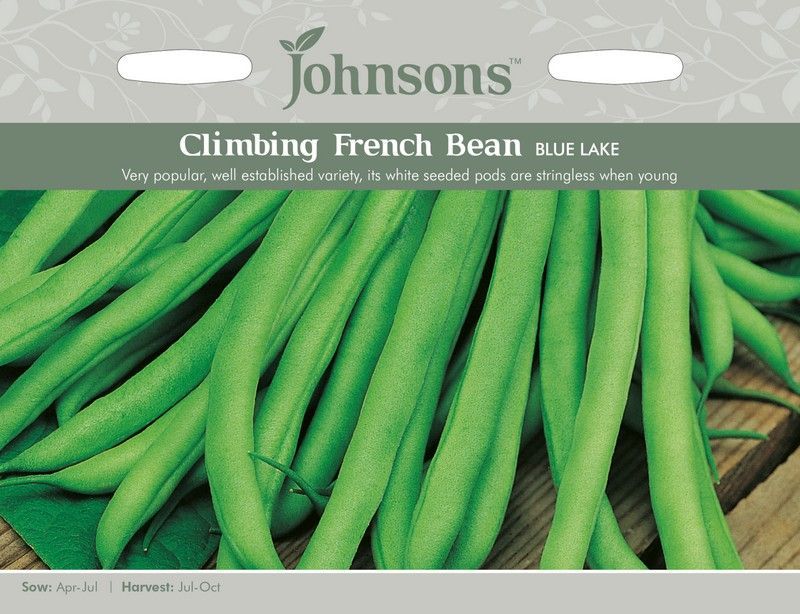 Climbing French Bean Blue Lake Seeds