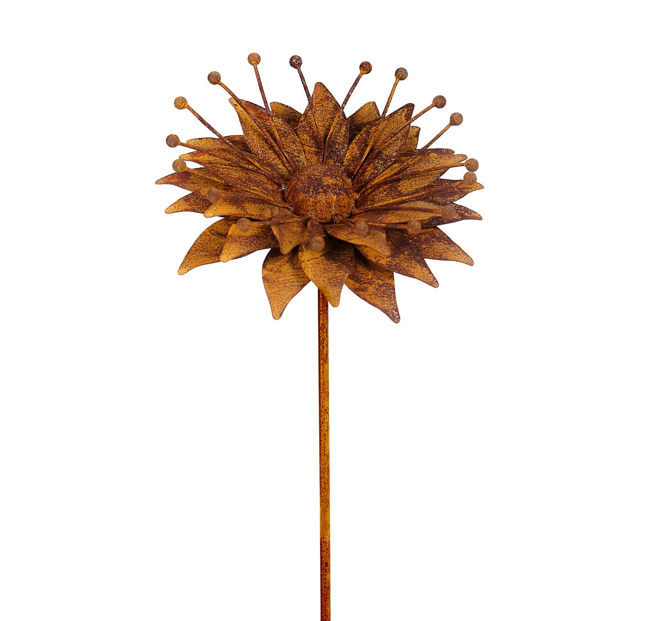 Stake Gloriosa Rustic 1.45m