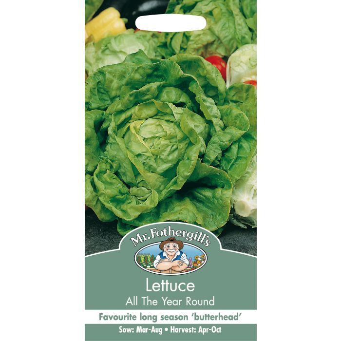 Lettuce All The Year Round Seeds