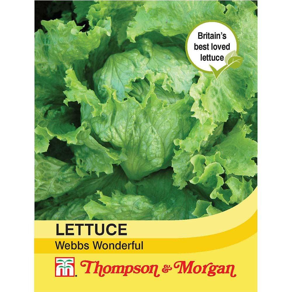 Lettuce Webbs Wonderful Seeds