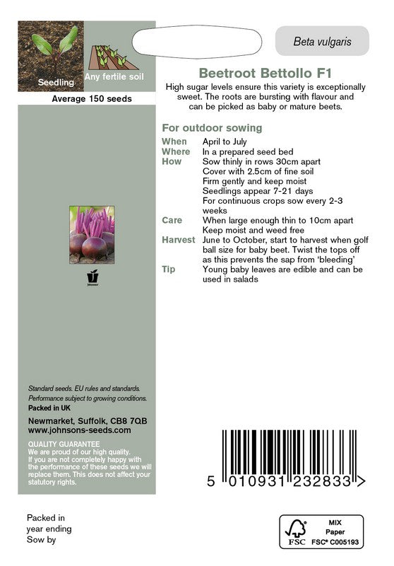 Beetroot Bettollo F1 Seeds