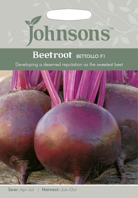 Beetroot Bettollo F1 Seeds