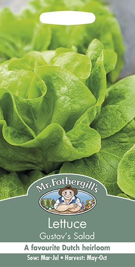 Lettuce Gustavs Salad Seeds