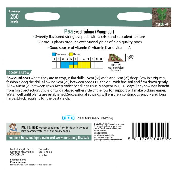 Pea (Mangetout) Sweet Sahara Seeds