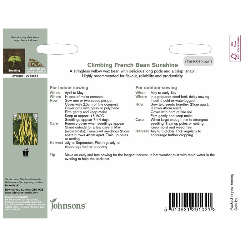 Climbing French Bean Sunshine Seeds