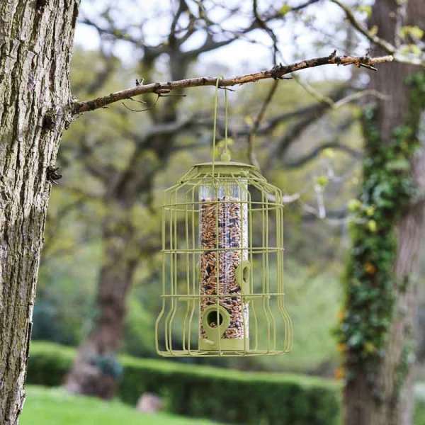 Seed Feeder Squirrel Proof