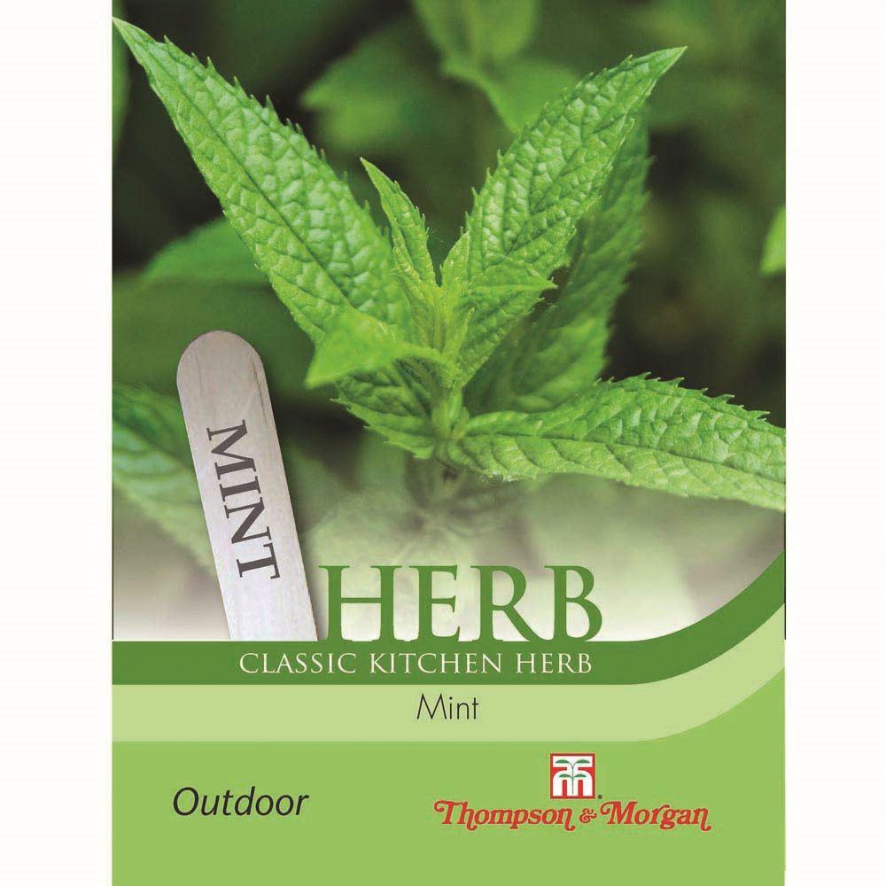 Mint (Peppermint) Herb Seeds | Cornwall Garden Shop | UK