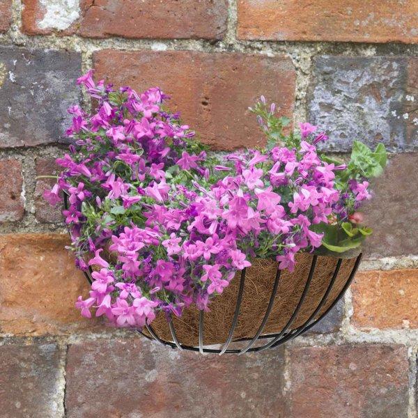 16" Smart Wall Basket - Cornwall Garden Shop
