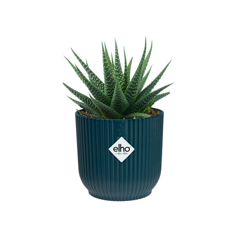 Vibes Fold Round Mini 11cm Deep Blue | Cornwall Garden Shop | UK