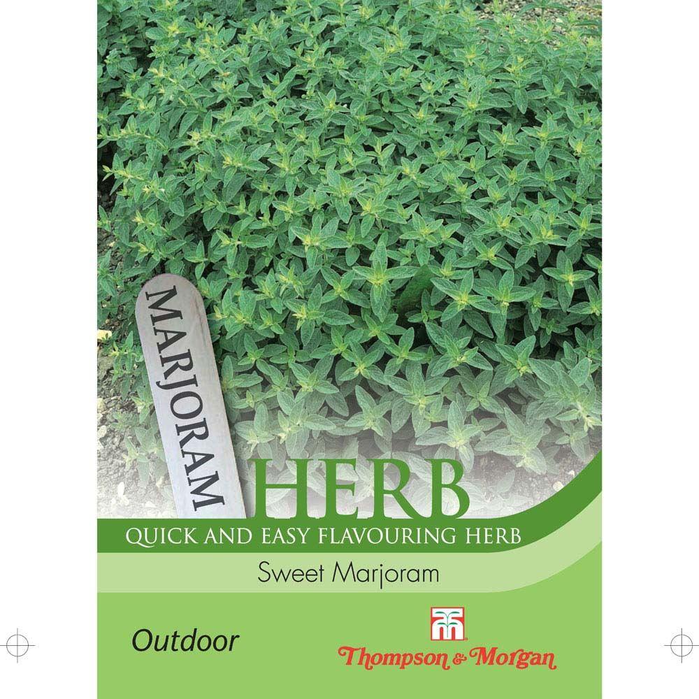 Marjoram Sweet Herb Seeds