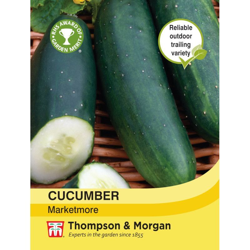 Cucumber Marketmore Seeds