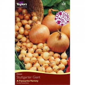 Onion Sets - Stuttgarter Giant