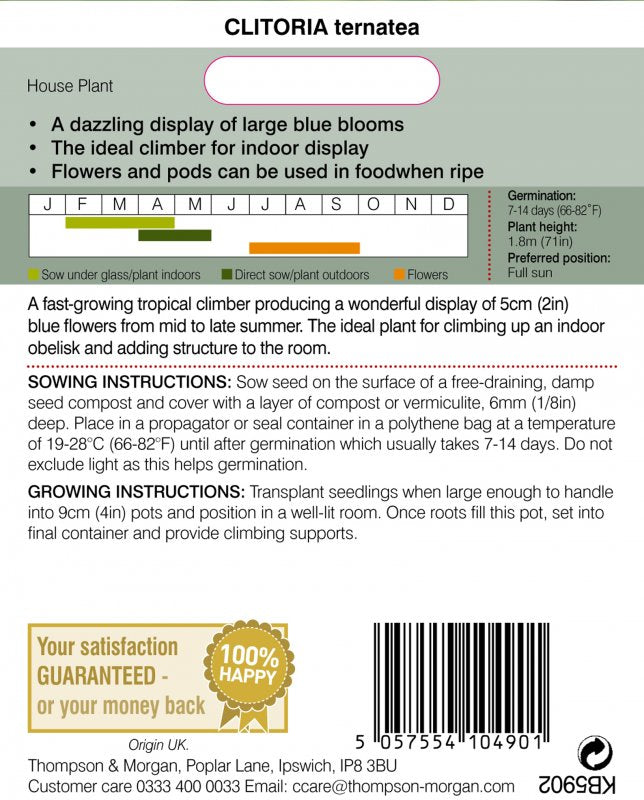 Bluebellvine Flower Seeds