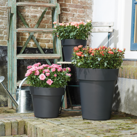 Green Basics Top Planter 23cm Living Black | Cornwall Garden Shop | UK