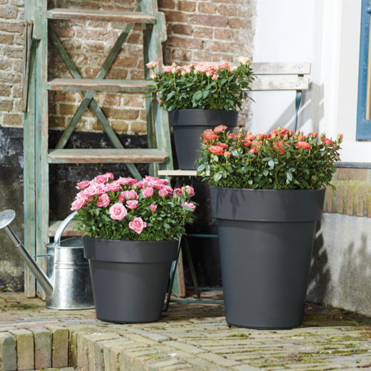 Green Basics Top Planter 40cm Living Black | Cornwall Garden Shop | UK