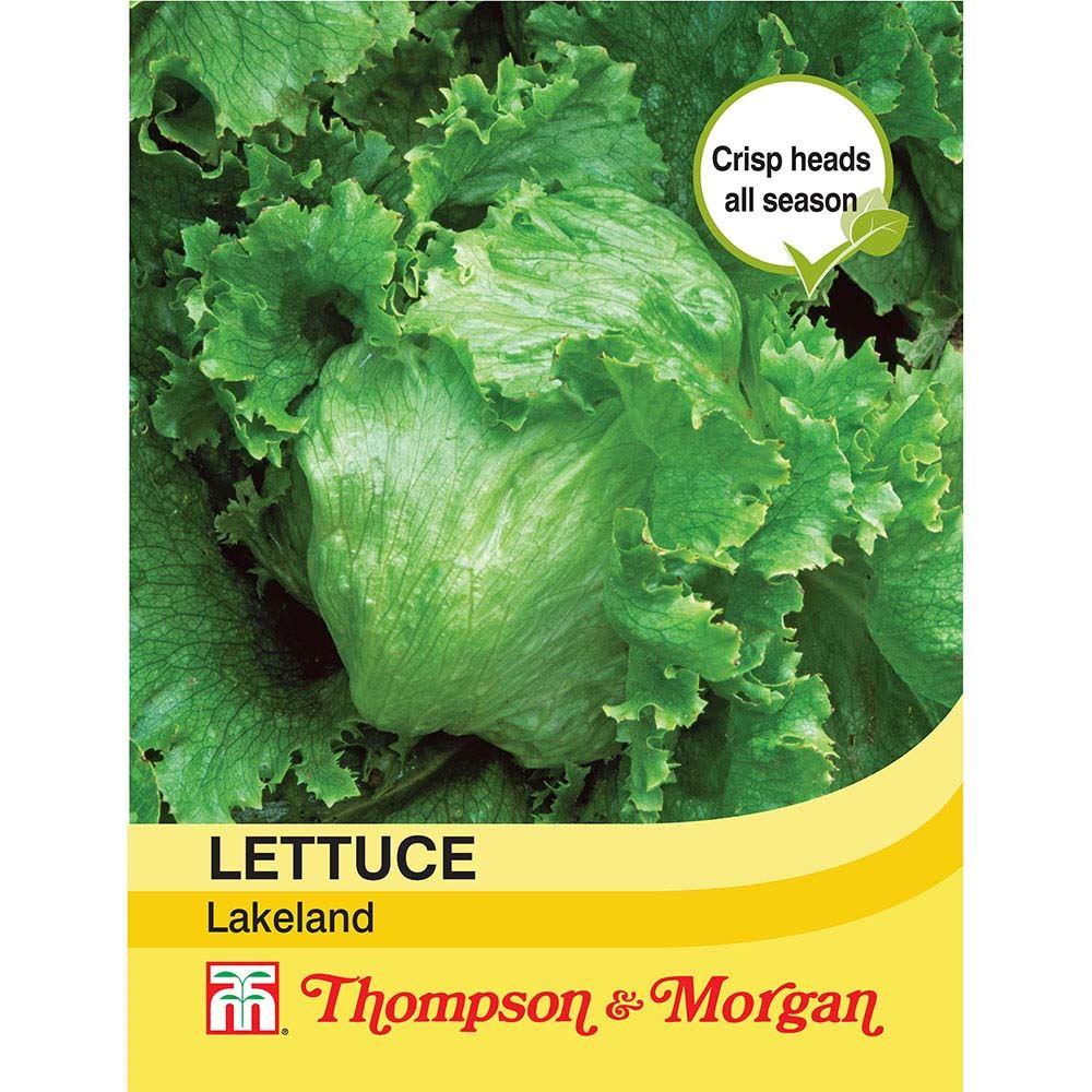 Lettuce Lakeland Seeds