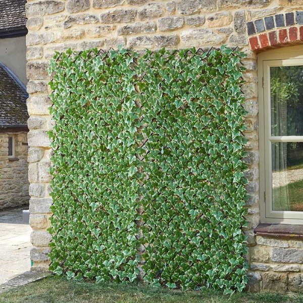 Trellis Ivy Leaf Expanding Willow 180cm x 60cm