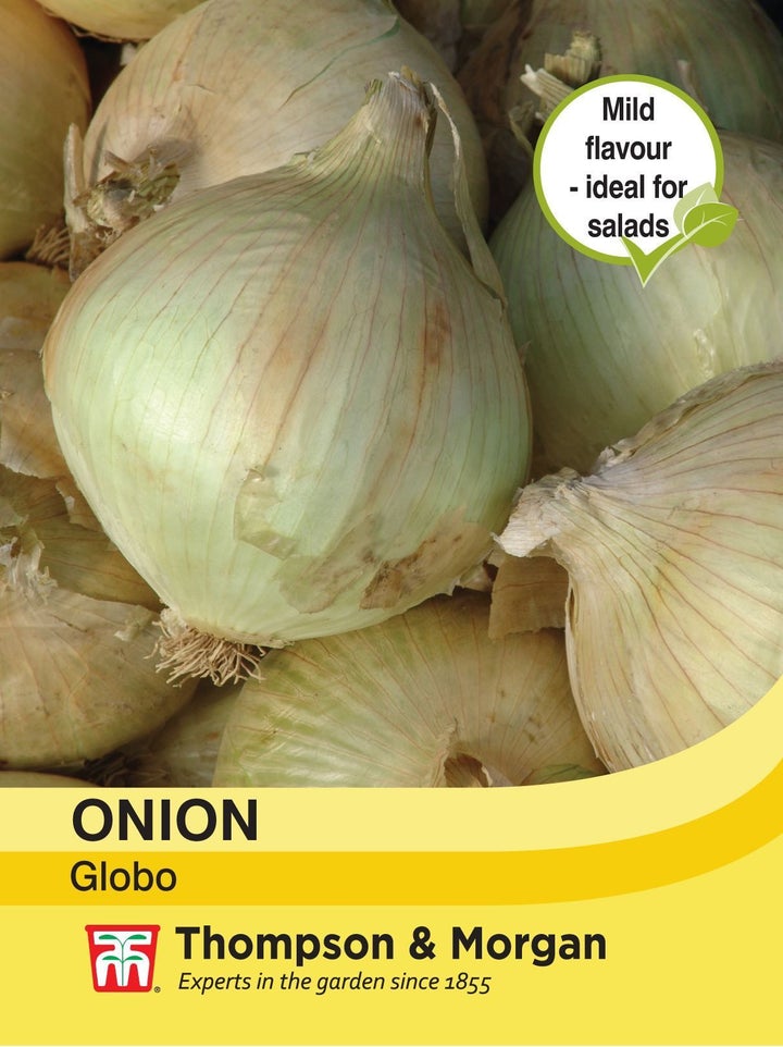 Onion Globo Seeds