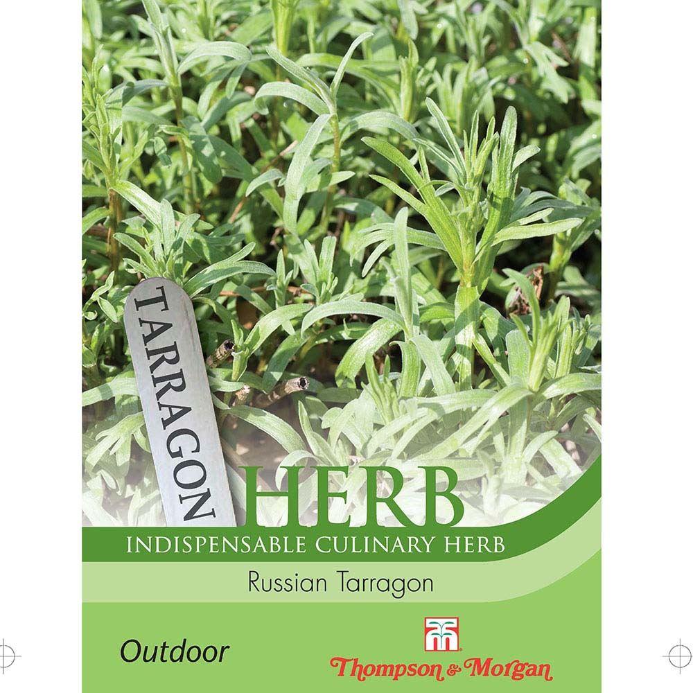 Tarragon Russian Herb Seeds