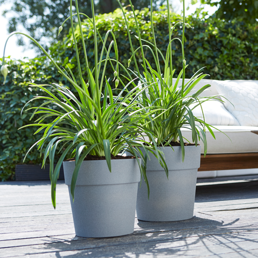 Vibia Straight 30cm Living Concrete | Cornwall Garden Shop | UK