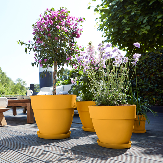 Vibia Campana Round 20cm Honey Yellow | Cornwall Garden Shop | UK