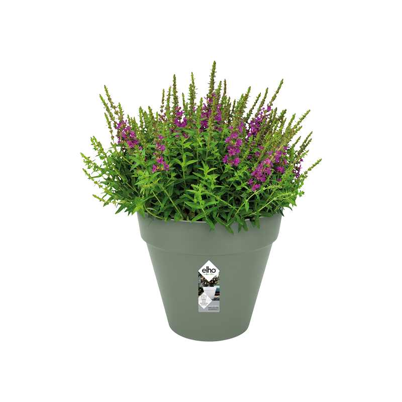 Loft Urban Round 25cm Pistachio Green | Cornwall Garden Shop | UK