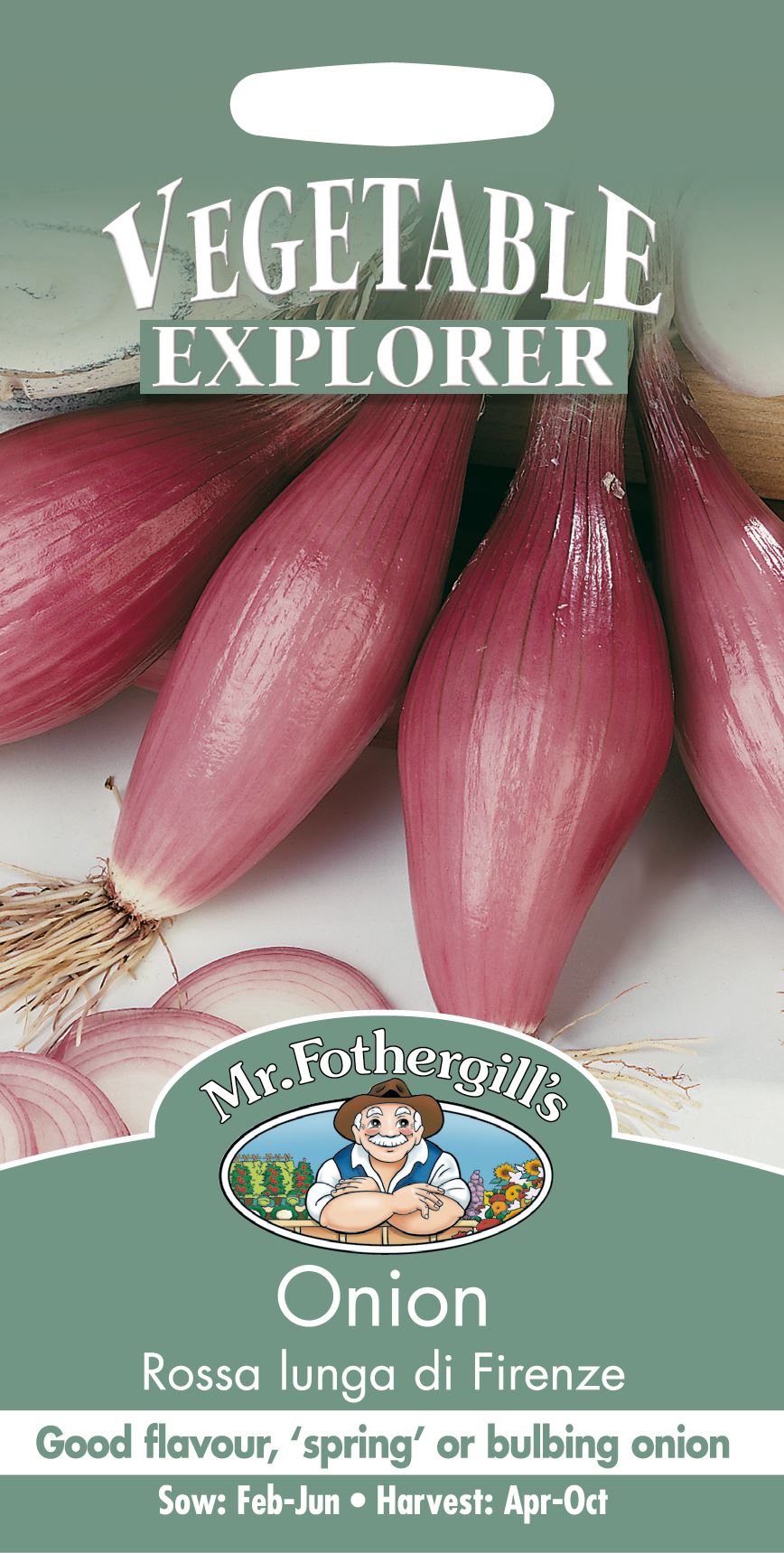 Onion (Spring) Rossa Lunga di Firenze Seeds