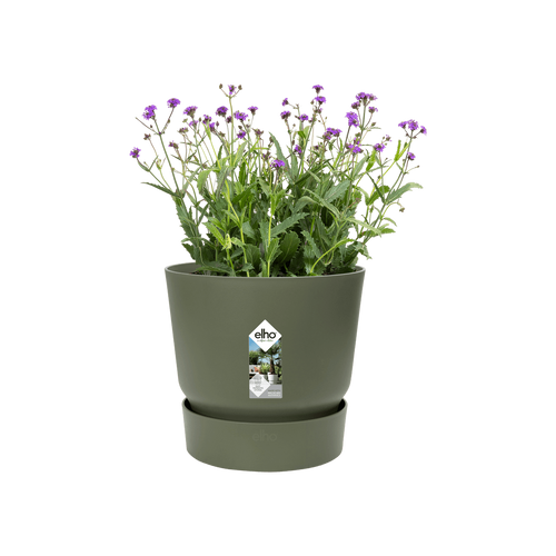 Greenville Round 16cm Leaf Green | Cornwall Garden Shop | UK