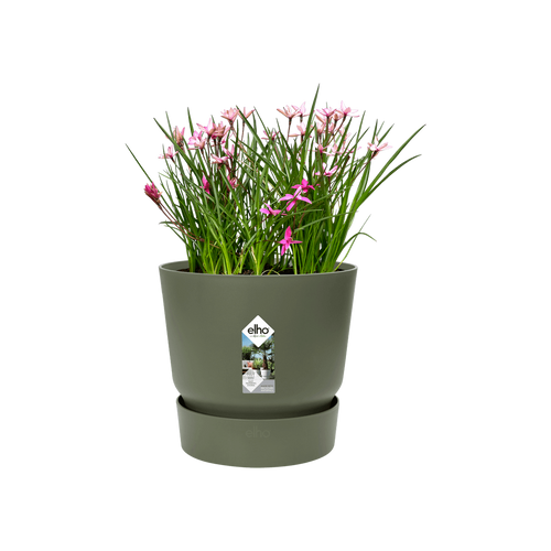 Greenville Round 16cm Leaf Green | Cornwall Garden Shop | UK