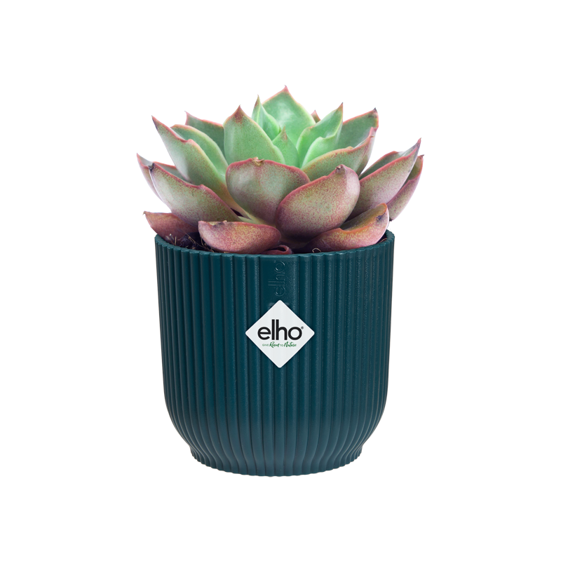 Vibes Fold Round Mini 11cm Deep Blue | Cornwall Garden Shop | UK