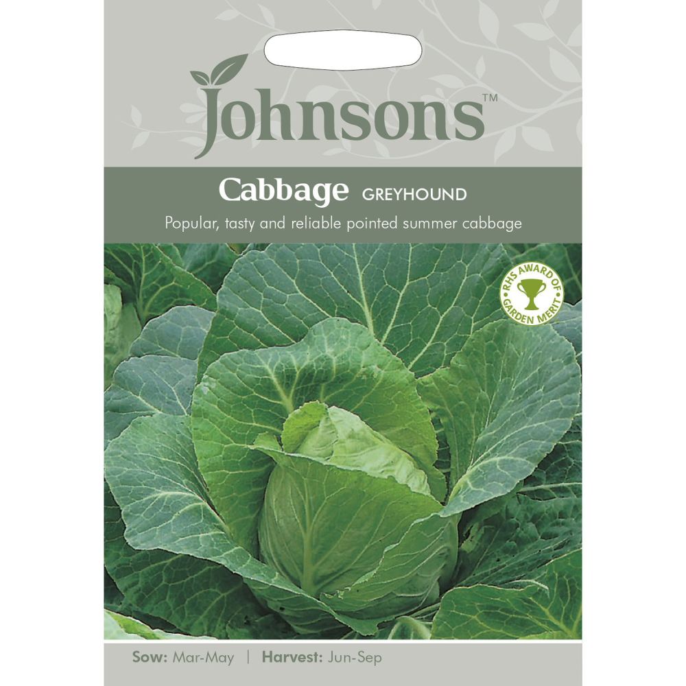 Cabbage Greyhound Seeds