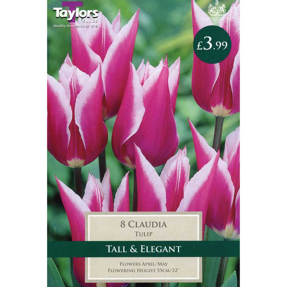 Tulip Bulbs 'Claudia'