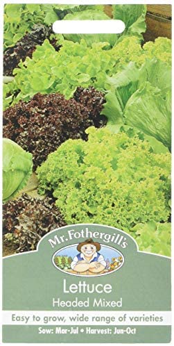 Lettuce Headed Mixed Seeds