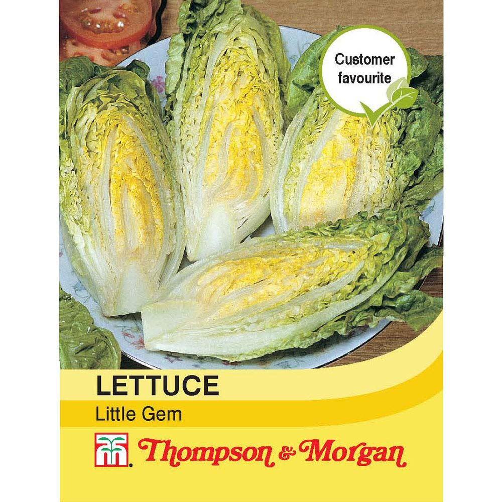 garden gem seeds Lettuce Little Gem Seeds | Vegetable Seeds | Cornwall Garden Shop