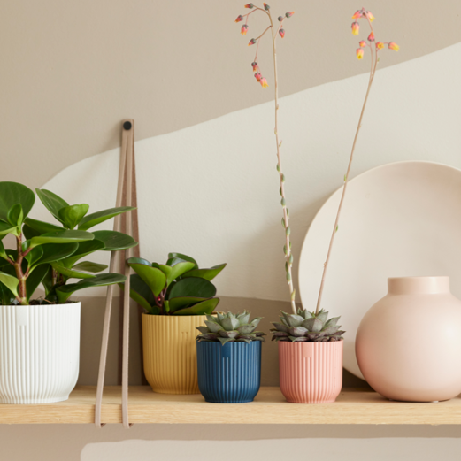 Vibes Fold Round Mini 11cm Deep Blue | Cornwall Garden Shop | UK