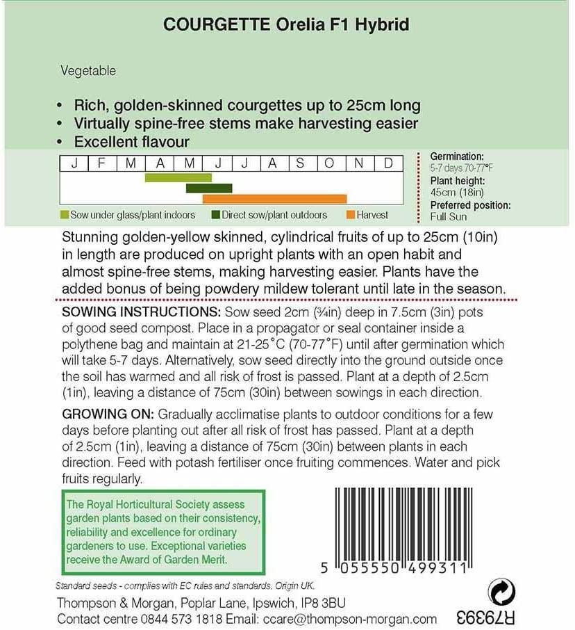Courgette Orelia F1 Hybrid Vegetable Seeds