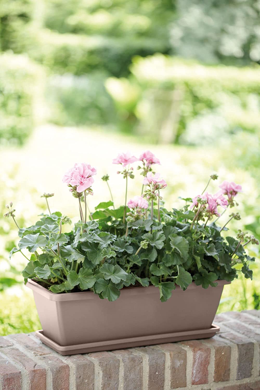 Barcelona Trough 50cm Taupe