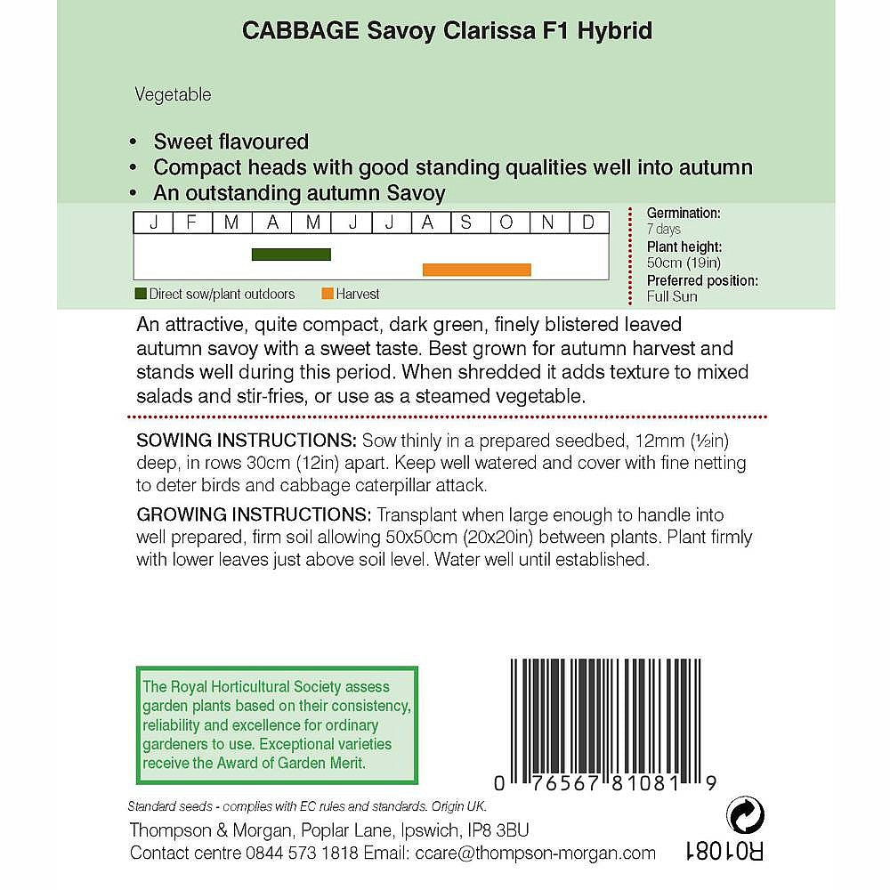 Cabbage Savoy Clarissa Seeds