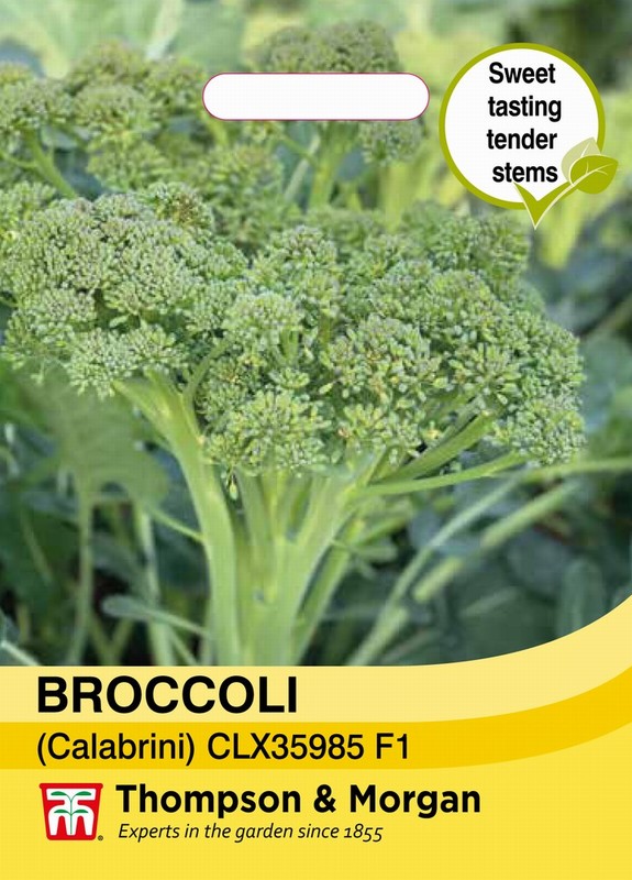 Broccoli Calebrini Sweet Returns Seeds