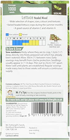 Lettuce Headed Mixed Seeds