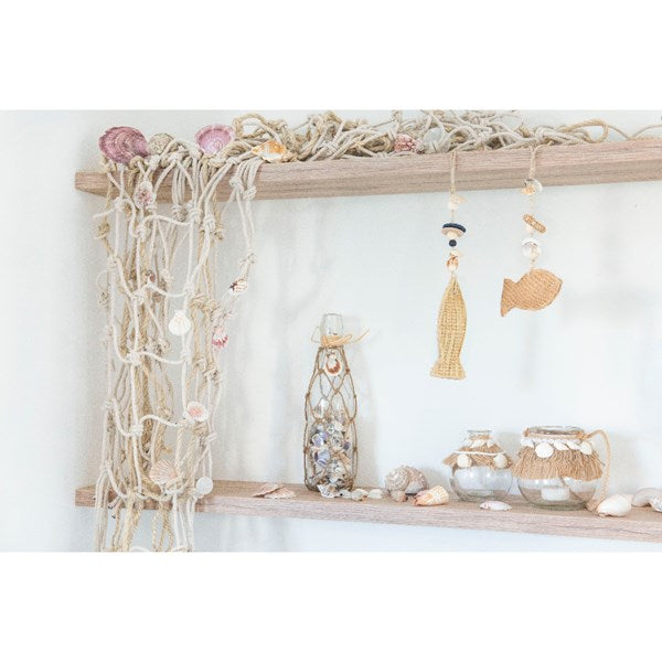 Decorative Shells | Cornwall Garden Shop | UK