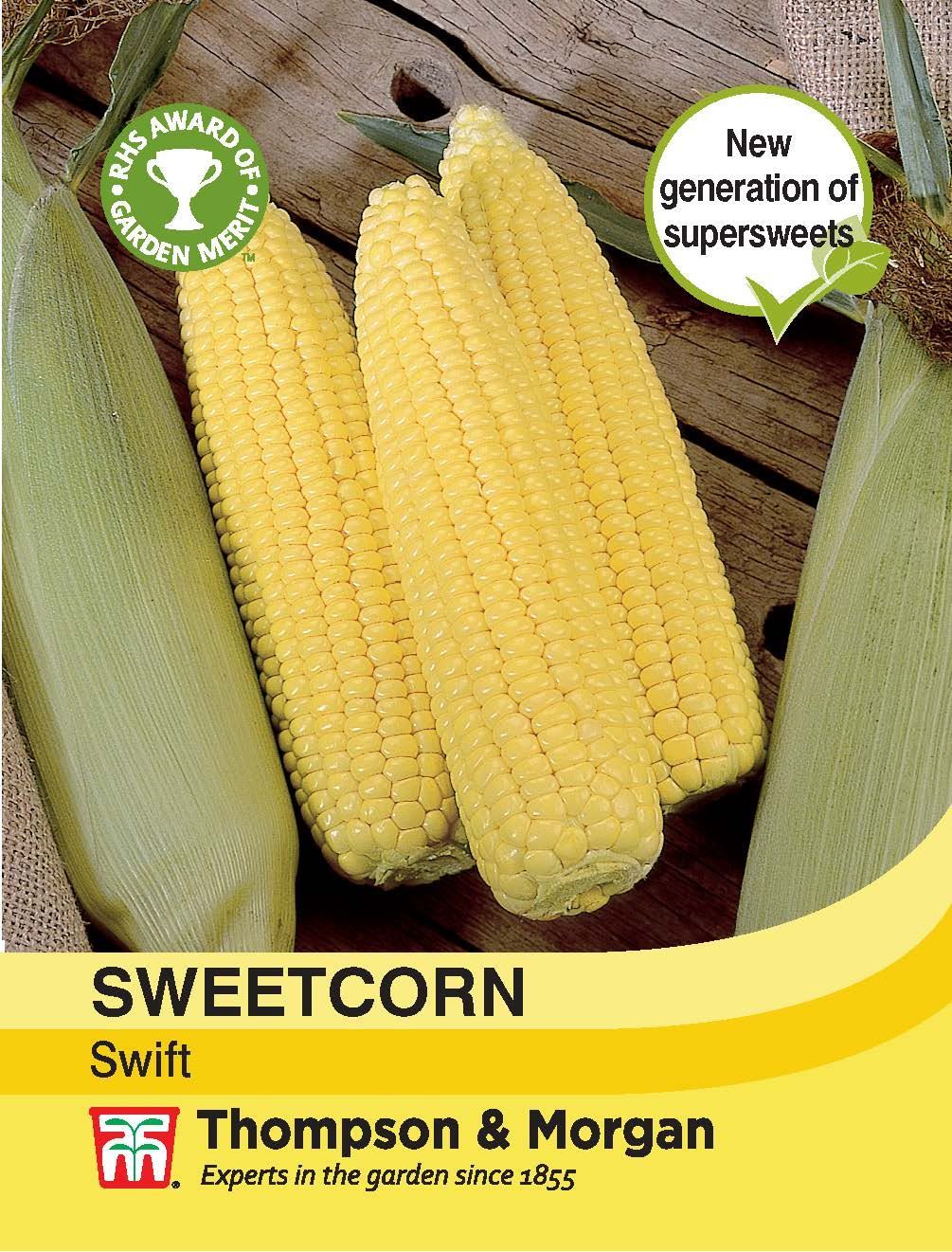 Sweetcorn Swift Seeds
