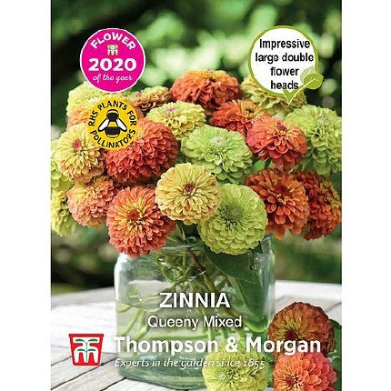 Zinnia Queeny Mixed Flower Seeds