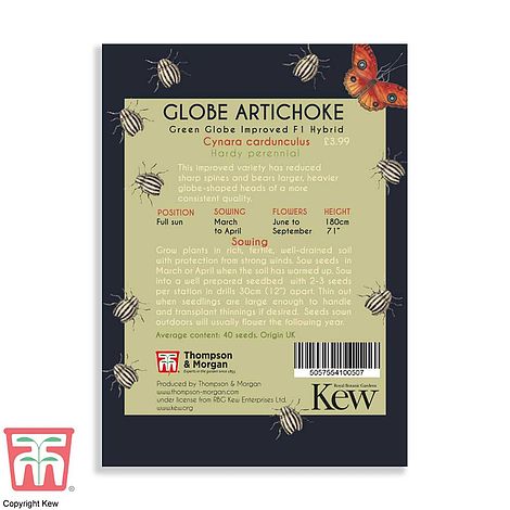 Globe Artichoke Vegetable Seeds