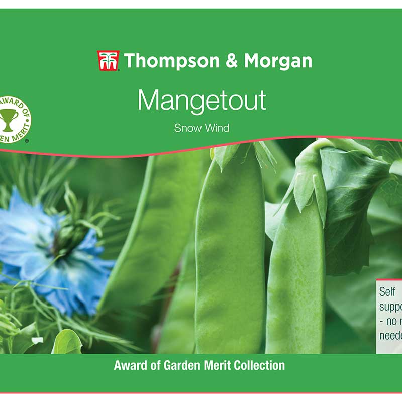 Mangetout Pea Snow Wind Seeds