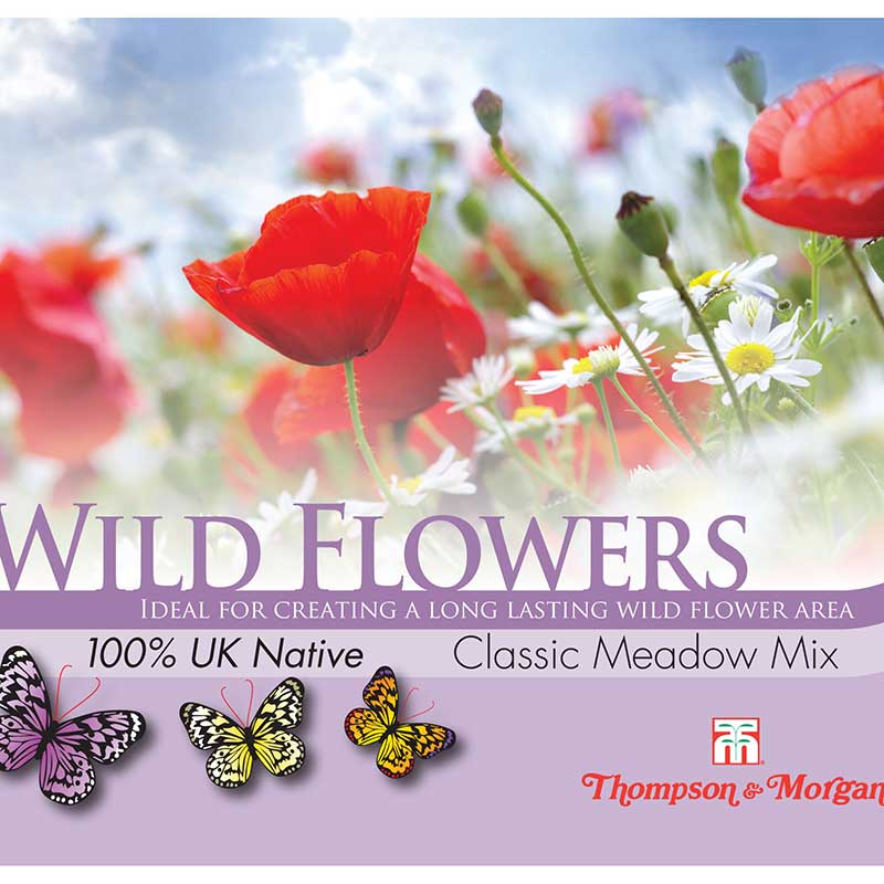 Wild Flower Classic Meadow Flower Seeds