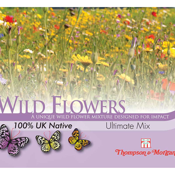 Wild Flower Ultimate Mix Flower Seeds