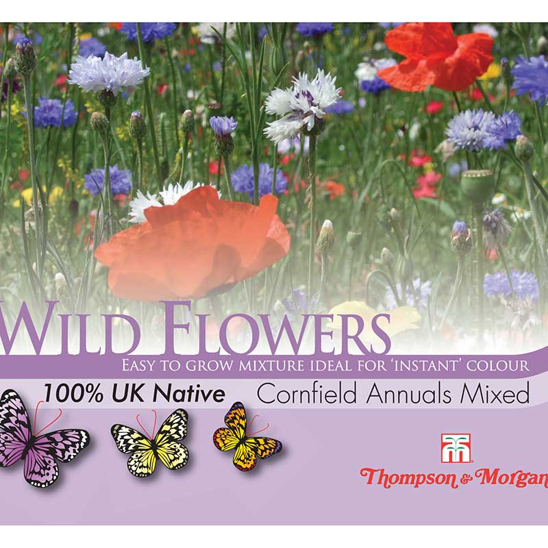 Wild Flower Cornfield Annuals Mixed Flower Seeds