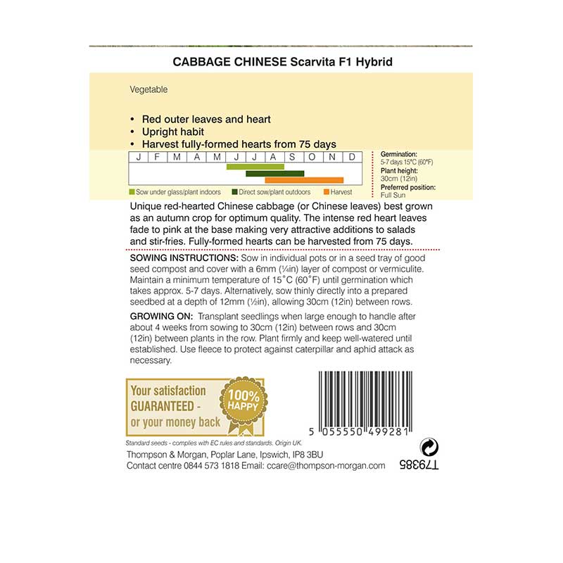Cabbage Chinese Scarvita F1 Hybrid Seeds