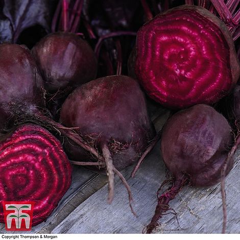 Beetroot Morello Vegetable Seeds